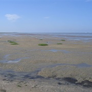 Lower Saxon Wadden Sea National Park
