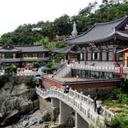 Visit Temples in Busan
