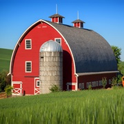 Barn