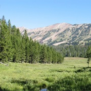 Gallatin National Forest