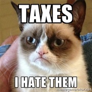 Hate Doing Taxes