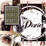 Pixies - Where Is My Mind