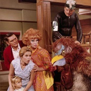 Allergic to Macedonian Dodo Birds