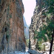 Go on an Insanely Long Hike