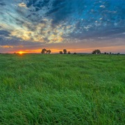 Tallgrass Prairie Preserve, Oklahoma