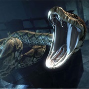 Nagini- So You Thought Anaconda Was Scary?