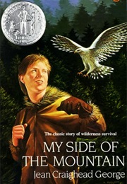 Mountain #1: My Side of the Mountain (Jean Craighead George)