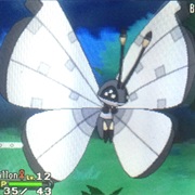 Icy Snow Vivillon