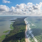 Curonian Spit NP / Nemunas Delta, Lithuania