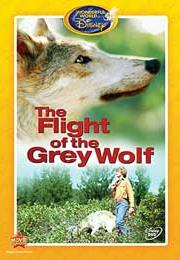 The Flight of the Grey Wolf