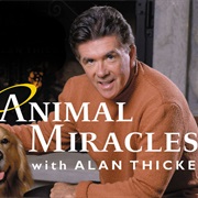 Animal Miracles
