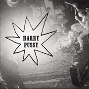Harry Pussy - You'll Never Play This Town Again