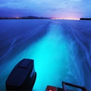 Glistening Waters, Jamaica