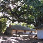 Santa Rosa Rancho in Murieta