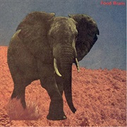 Food Brain - Social Gathering