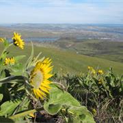 Seven Mile Hill Route