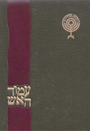 עמוד האש (יגאל לוסין)