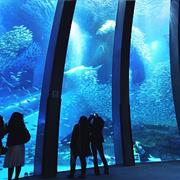 Yokohama Hakkeijima Sea Paradise