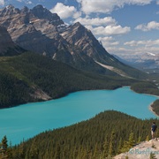 Peyto Lake (Banff Nat. Park)