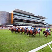 Royal Randwick Racecourse