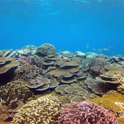 Fagatele Bay National Marine Sanctuary, American Samoa
