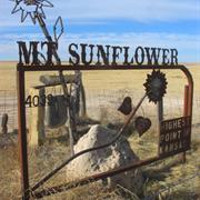 Mount Sunflower, Kansas