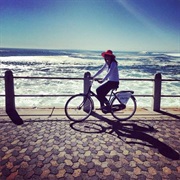 Cycle Through Cape Town