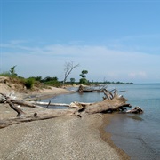 Illinois Beach State Park, Illinois