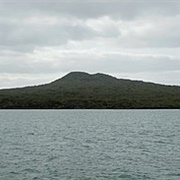 Rangitoto Island