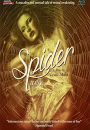 Spider (1991)