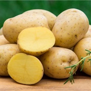 Yukon Gold Potato