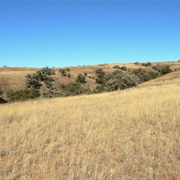 San Rafael State Natural Area, Arizona