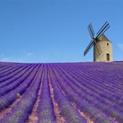 Routes De La Lavande