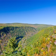 Pine Creek Gorge, Pennsylvania