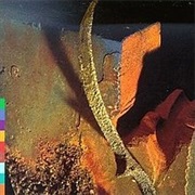 Nusrat Fateh Ali Khan, Mustt Mustt (Lost in His Work)