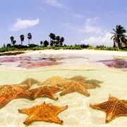 Starfish Point, Cayman Islands