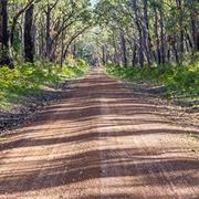 Cobboboonee National Park (VIC)