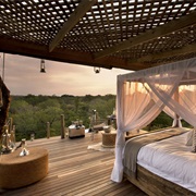 Stay at Lion Sands Safari Lodge and Tree Houses