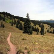 Reno/Flag/Bear/Deadman's