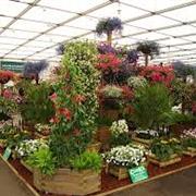 Gardeners World Live