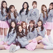 IOI