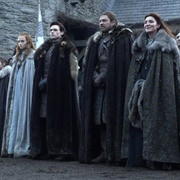 The Stark Family