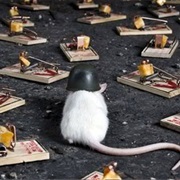 Navigate a Minefield