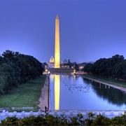 Explore Washington D.C.