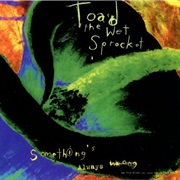 Toad the Wet Sprocket - Something's Always Wrong