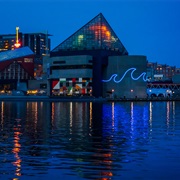 Baltimore National Aquarium