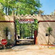 Oyotunji African Village, South Carolina