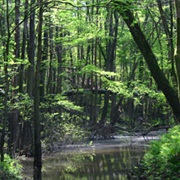 Lennox Foundation Southmost Preserve, Texas
