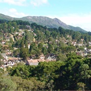 Monte Verde - Brazil