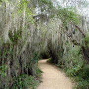 Santa Ana National Wildlife Refuge